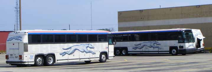 Greyhound MC-12 3841